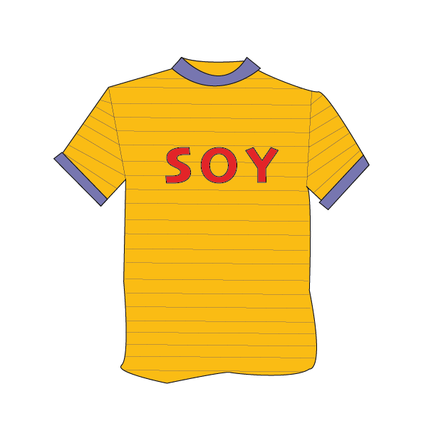 Bonsoy tshirt